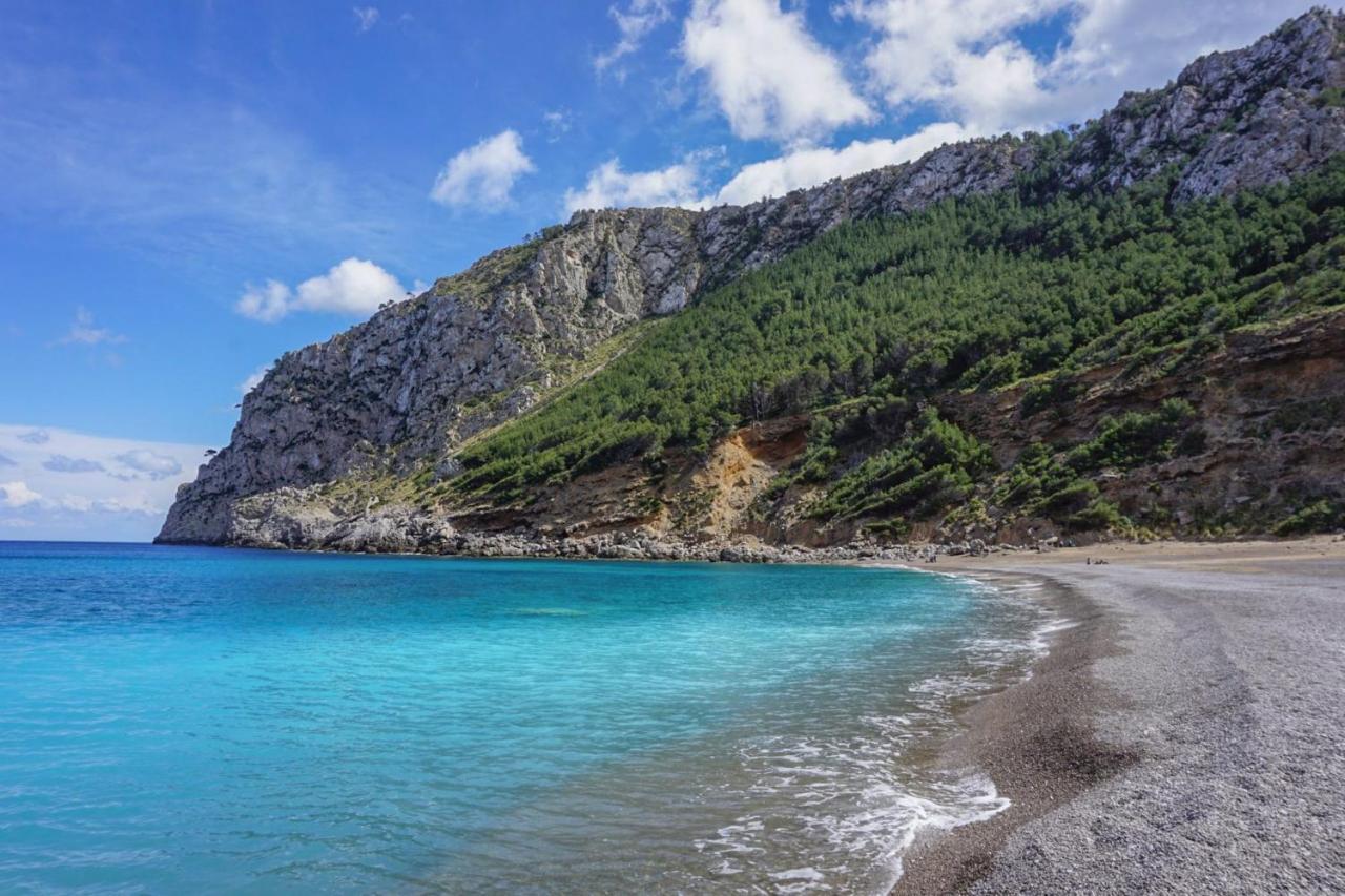 - 35111 Mallorca * Alcudia (Mallorca)